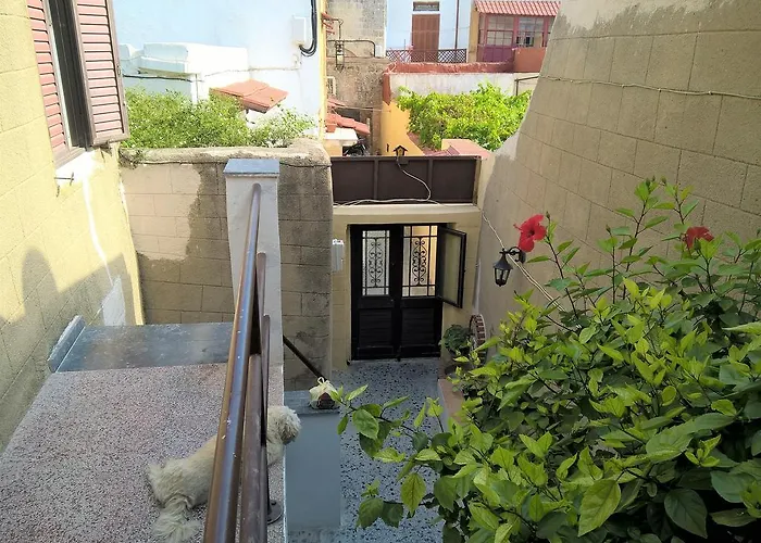 旅馆 斯塔西斯旅舍