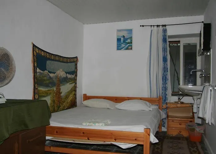 旅馆 斯塔西斯旅舍